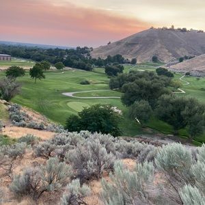 Meet your Posher, Austin